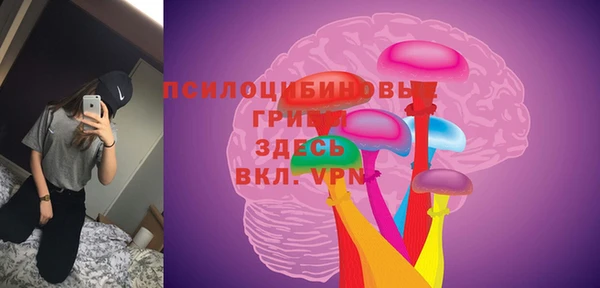 крисы Алексеевка