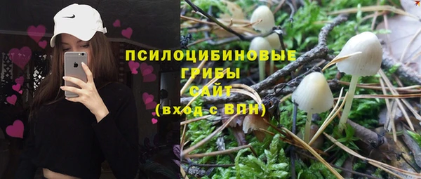 бошки Армянск