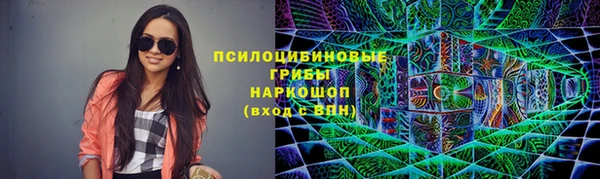 гашик Арсеньев