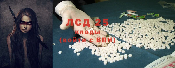 ПСИЛОЦИБИНОВЫЕ ГРИБЫ Алзамай