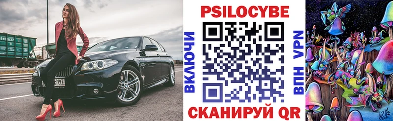 Галлюциногенные грибы мицелий  блэк спрут ССЫЛКА  Губаха 
