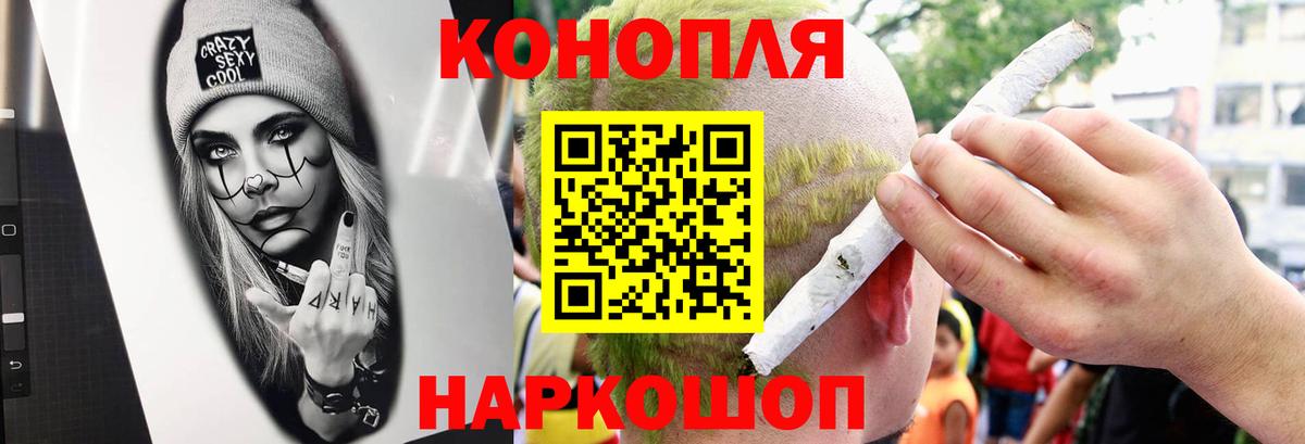 Бошки марихуана сатива  Шишки марихуана план  Вход с VPN  Губаха  Бошки Шишки сатива 